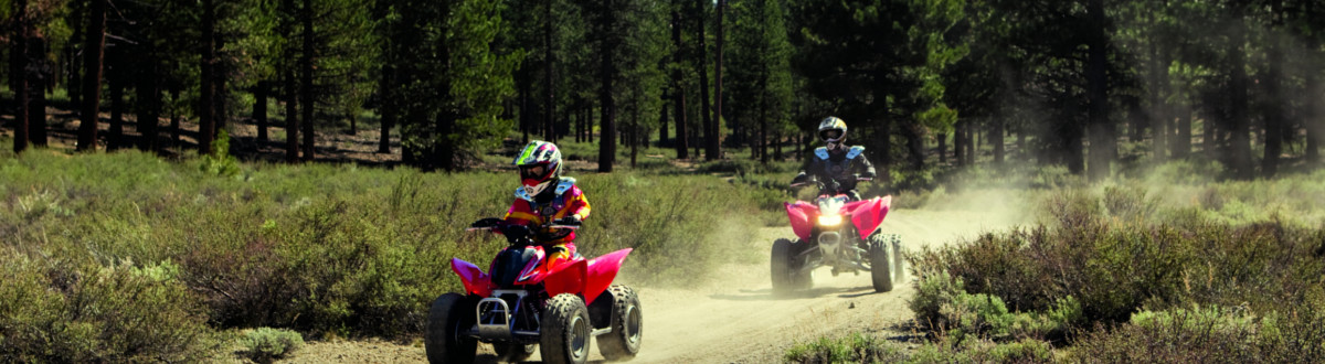 2017 Honda ATV for sale in Contra Costa Powersports, Concord, California
