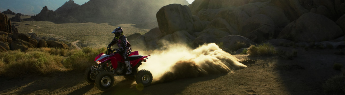 2017 Honda ATV for sale in Contra Costa Powersports, Concord, California